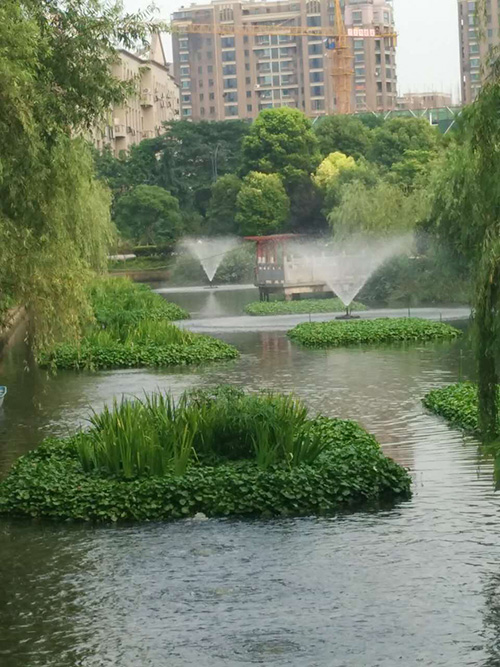 沉水式鼓風(fēng)機(jī)-河道治理